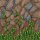 images/tiles/ground5.png