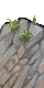 images/tiles/cliff5.png